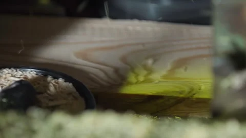 Close Up Of Automated Equipment Processing Wooden Plank With Cutting Wheels Stock Footage 243816216