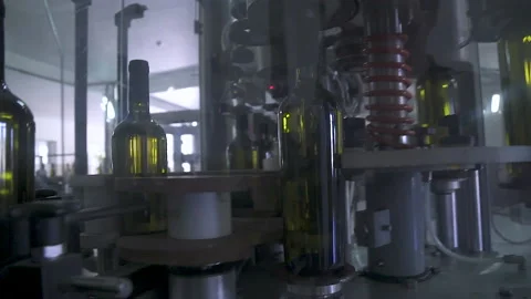 Close-up. Automatic conveyor with moving bottles with wine on the belt. Stock-Footage 155461660