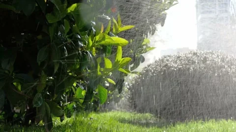 Close-up of an automatic lawn watering system on a street in city. Stock Footage 237601306