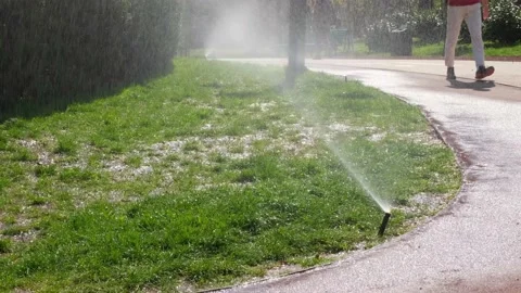 Close-up of an automatic lawn watering system on a street in public park. Stock Footage 237601308