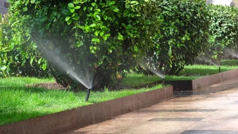 Close-up of an automatic lawn watering system on a street in the city. Stock Footage 237914055
