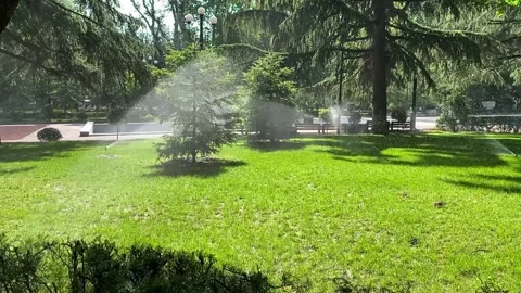 Close-up of an automatic lawn watering system in a city park. Stock Footage 245342652