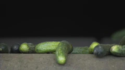 Close up of automatic Line for Processing of Vegetables. Preserving Cucumber Stock Footage 127854616