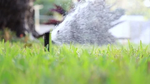 Close-up of an automatic sprinkler watering the lawn Stock Footage 127545358