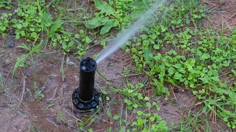 Close-up automatic sprinklers system watering lawn. Stock Footage 314095668