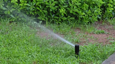 Close-up automatic sprinklers system watering lawn. Video stock 314106292