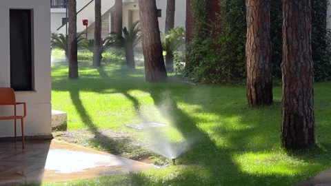 Close-up automatic sprinklers system watering lawn. Stock Footage 320906593