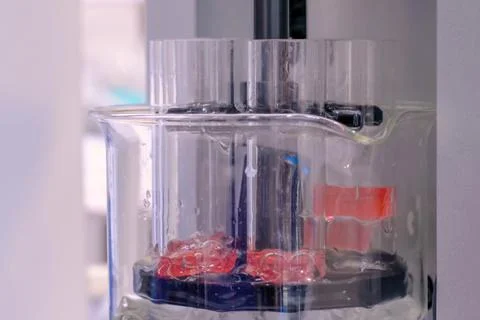 Close up: automatic tablet disintegration tester - laboratory equipment concept Stock Photos