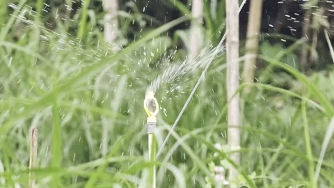 Close up of automatic water sprinkler spraying water over green plants Stock-Footage 342600945