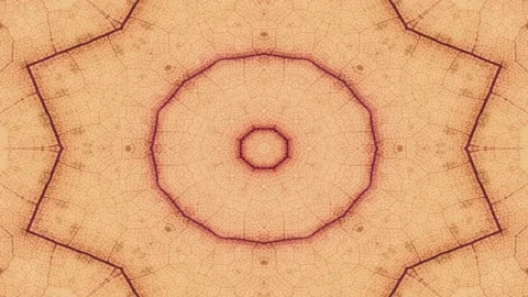 Close up of autumn leaf. Dry leaf background. Stock Footage 193633334