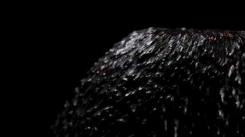 Close Up avocado on black background 库存影片 97293019