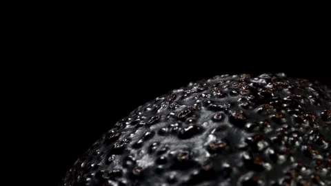 Close Up avocado on black background Stock Footage 97293224