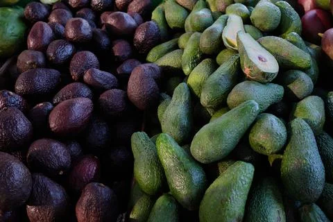 Close-up avocado. Stock Photos