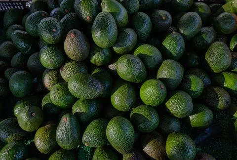 Close-up avocado. Stock Photos