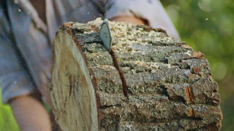 Close-up of axe embedded in log, highlighting detailed wood texture and shavings Stock Footage 276822802