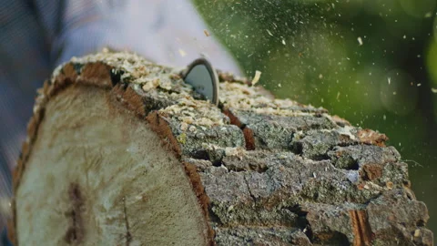 Close-up of axe embedded in log, scattering wood chips. Focus on rugged bark 스톡 동영상 276823106