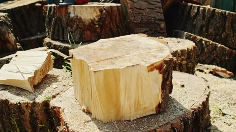 Close-up of an axe embedded in a thick log, splitting it in half with wood Stock Footage 304333702