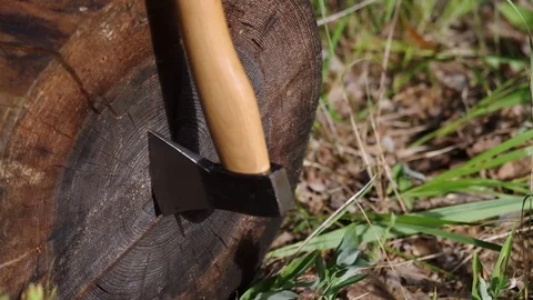 Close-up on an axe insertion in the oak log front Video stock 77688305
