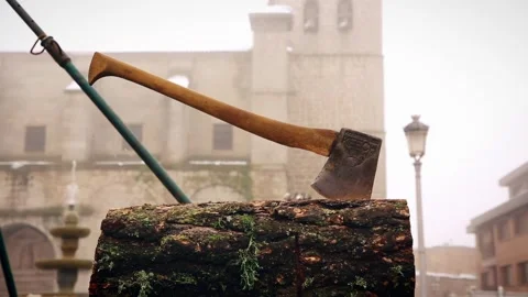 Close-up of an axe on a log Stock Footage 304284777
