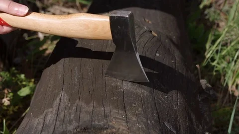 Close-up on an axe striking the fallen oak tree Video stock 77688338