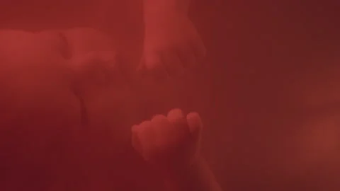 Close-up of Baby Floating in Amniotic Fluid in Glowing Red Uterus Light Vidéo 211881249