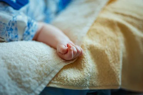 Close-up of baby's hand Stock Photos