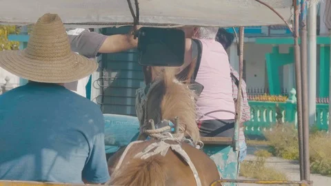 Close up of the back of a horse pulling a cart with man with hat on Stock Footage 88762797