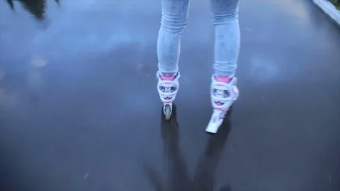 Close-up back legs roller Stock Footage 82417306