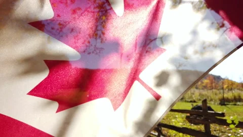 Close Back Lite Canadian Flag Reveals In Breeze Against Country Green Landscape Stock Footage 162326654