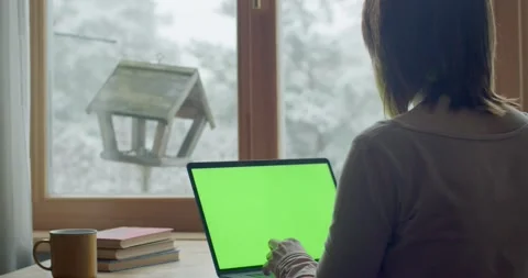 Close up back view of girl working at computer indoors while birds chickadee fly Stock Footage 146052486