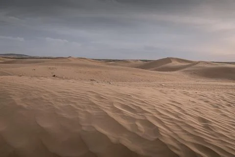 Close up background on the desert sand in Inner Mongolia, China. Stock Photos