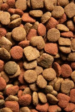 Close-up background of different colored and form food for pets Stock Photos
