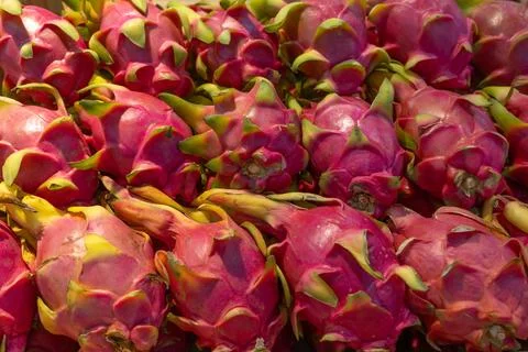 Close-up background of fresh dragon fruit with bright purple-pink peel and gr Stock Photos
