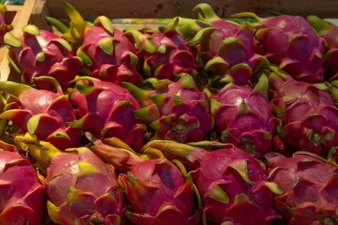 Close-up background of fresh dragon fruit with bright purple-pink peel and gr Stock Photos