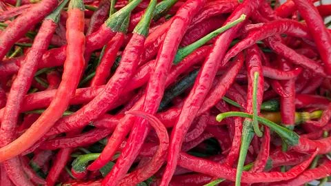 Close up background of fresh long red curly chili peppers with green stems,.. Stock Photos