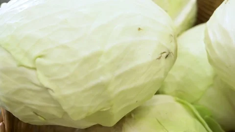 Close-up, background. fresh white cabbage on the counter in the supermarket Stock Footage 115374930