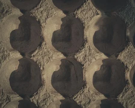 A close-up background image of the texture and shape of the egg box. Sharp Stock Photos