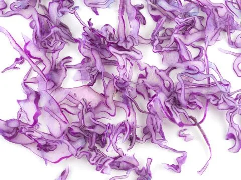 Close up background isolated a bunch of silky purple cabbage, Cabbage cut int Stock Photos