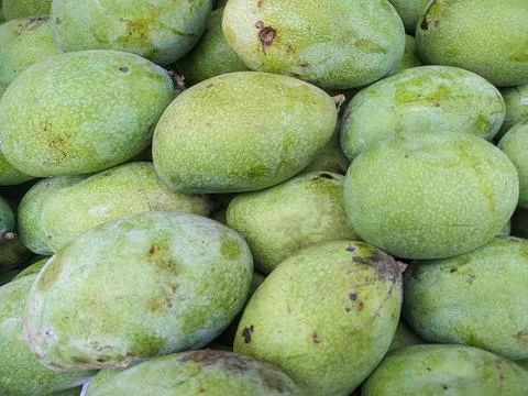 Close up background of mango fruit at fruit vendors Stock Photos
