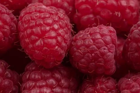 Close-up background from raspberries Stock Photos