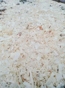 Close up background with selective focus of beige wooden surface. Stock Photos