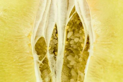 Close-up background surface view of cut pomelo fruit Stock Photos