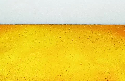 Close up background texture of lager beer with bubbles and froth in glass. Stock Photos