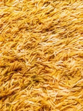 Close up background texture of long carpet shag Foto stock