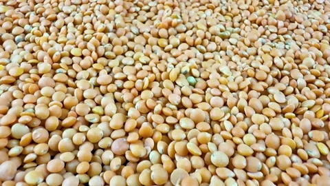 Close up background texture of raw split red lentils Stock Footage 340581011