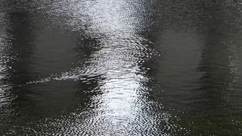 Close-up background with wavy dark water Stock Footage 238681026
