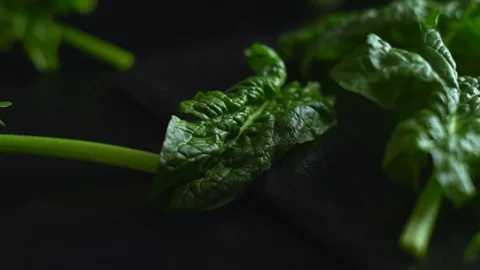 Close-up backlight of freshly picked green spinach leaves placed on a slate plat Vídeos de archivo 126049463