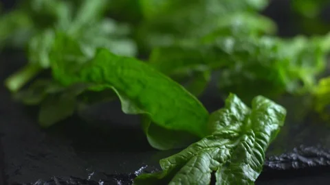 Close-up backlight of freshly picked green spinach leaves placed on a slate plat Vídeos de archivo 126049945