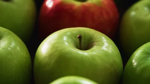 Close up of bad apple or unique concept metaphor. 動画素材 122661937