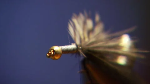 Close-up of bait Stock Footage 55335214